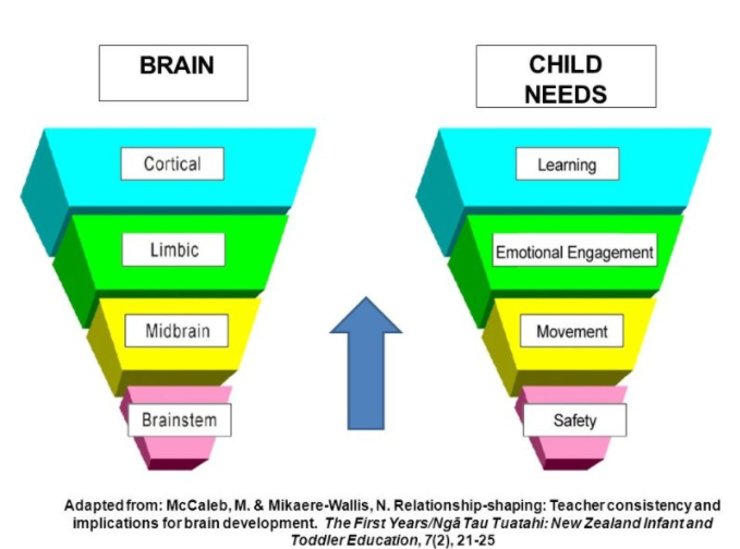 Pedagogy and Child Needs.png